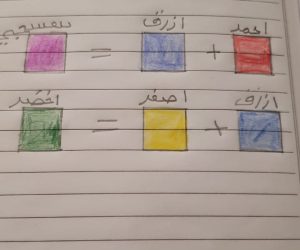 انس ضبان