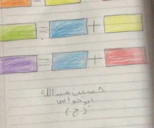 حسين ابو حواس