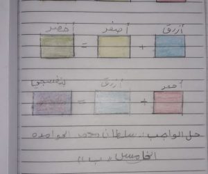 سلطان محمد الحوامدة