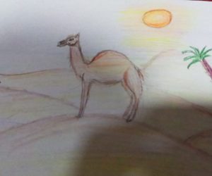 عبد الفتاح بسيم محمد خضر 3